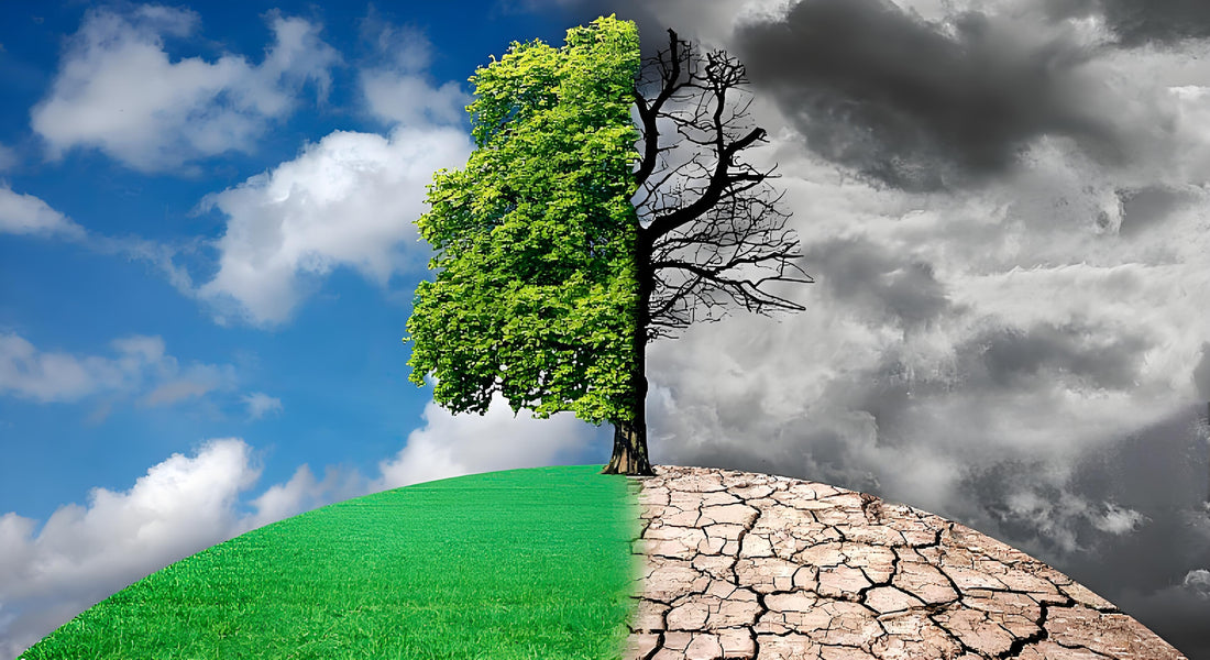 🌱 10. Climate & Circularity: The New Success Factors